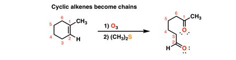 Alkene Reactions Ozonolysis — Master Organic Chemistry