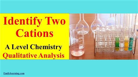 Chemistry With Inorganic Qualitative Analysis