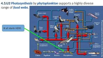 IB ESS Topic 4 3 Aquatic Food Production Systems By MrKremerScience