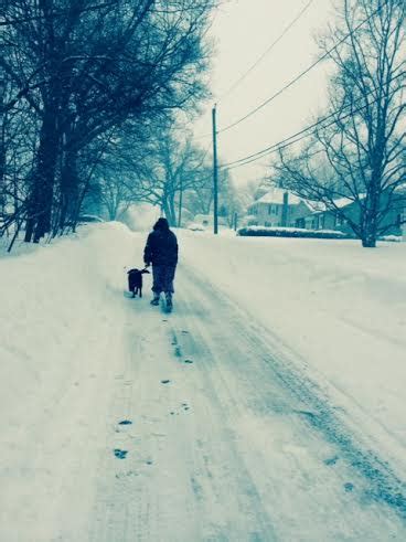 Marlborough Weather: Another 3-6 Inches of Snow | Marlborough, MA Patch