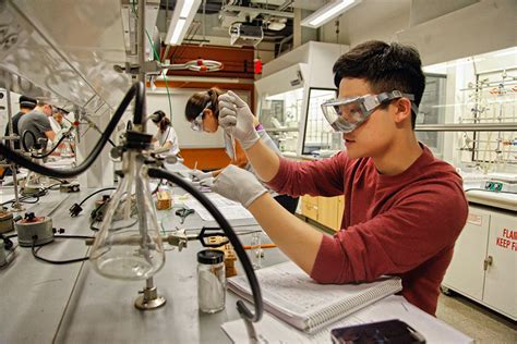 Research Opportunities for Undergraduates | Undergraduate Programs ...