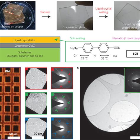 Schematic Of Liquid Crystal Alignment On The Surface Of The