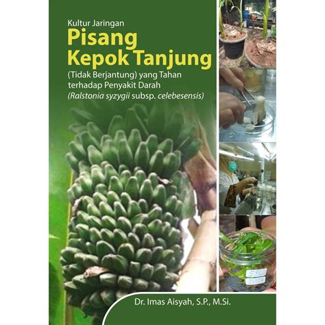 Jual Buku Kultur Jaringan Pisang Kepok Tanjung Tidak Berjantung