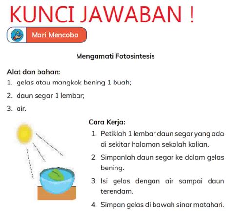 Kunci Jawaban IPAS Kelas 4 Halaman 10 Kurikulum Merdeka Fotosintesis