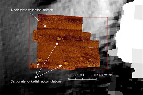 Exploration Tools: Side-Scan Sonar: NOAA Office of Ocean Exploration ...