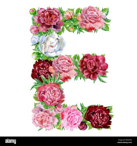 Letter E Of Watercolor Flowers Isolated Hand Drawn On A White