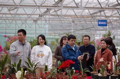 中国农科院蔬菜花卉研究所、湖北省农科院经作所等专家来我校考察交流 荆楚理工学院