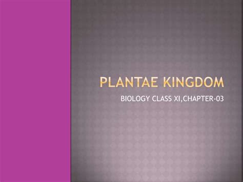 Plant Kingdom Class Xi Chapter 03 Biology Pptx