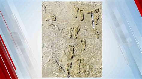 Oldest Human Footprints In North America Found In New Mexico