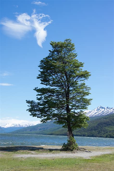 Ushuaia & Tierra del Fuego National Park | Creative Photographs by ...