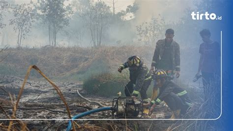 171 Titik Panas Terdeteksi Di Kaltim BMKG Waspada Karhutla