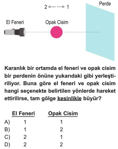 Tam G Lge Test Z S N F Fen Bilimleri Testleri Yeni Nesil Sorular