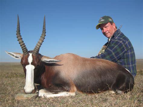 South Africa Trophy Gallery Safari Trails International Hunting