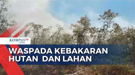 Cuaca Panas Waspada Kebakaran Hutan Dan Lahan