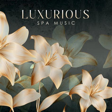 Luxurious Spa Music Soothing Beach Ambience Water Flow Calming