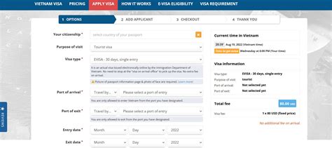 A Step By Step Guide To Online Vietnam Visa Application For Irish