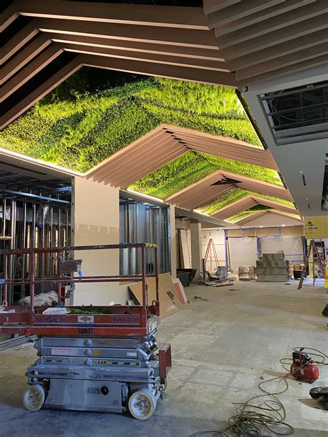Artificial Green Ceiling Installation | Artificial green wall, Ceiling