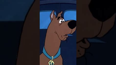 A Qu Saben Las Scooby Galletas Scooby Doo Curiosidades