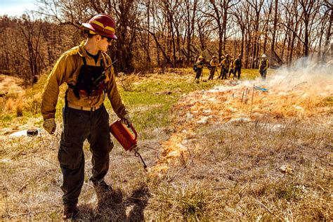 Prescribed Fire Meadow Management | Adamah Blog, Pearlstone | Adamah