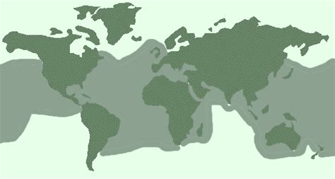 Loggerhead Sea Turtle Habitat Map