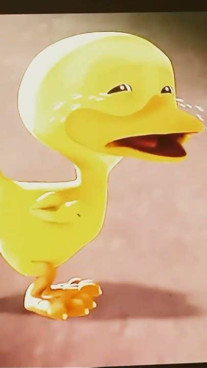 Duck Crying Meme Youtube