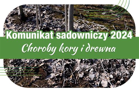 Komunikat Sadowniczy 06 03 2024 R Choroby Kory I Drewna