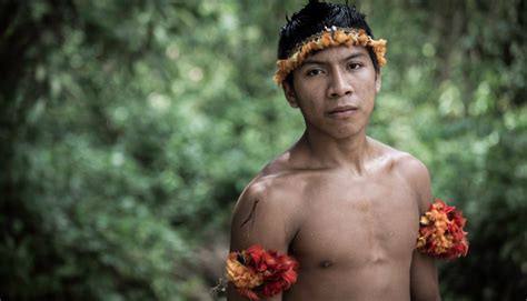 CATALYST The Awá Indians Earth s Most Threatened Tribe In The Amazon