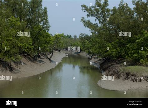 The Sundarbans A Unesco World Heritage Site And A Wildlife Sanctuary