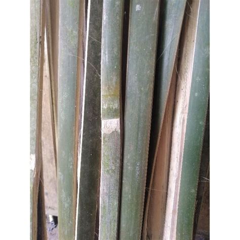 Jual Promo Bambu Bilah Bambu Ajir Penyangga Tanaman Panjang Cm Lebar