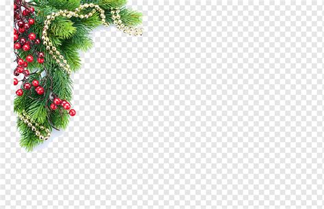 Christmas Tree Christmas Decoration Graphy Illustration Christmas