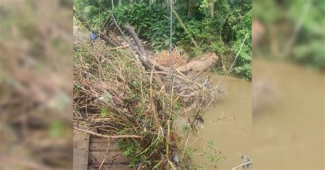 Pontes E Vias Danificadas Cidade Do Sul De Sc Registra Danos Ap S