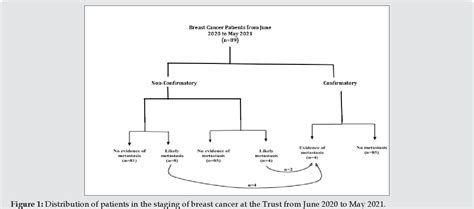 Figure 1 from Review of Bone Scan in Staging of Breast Cancer Patients (Milton Keynes University ...