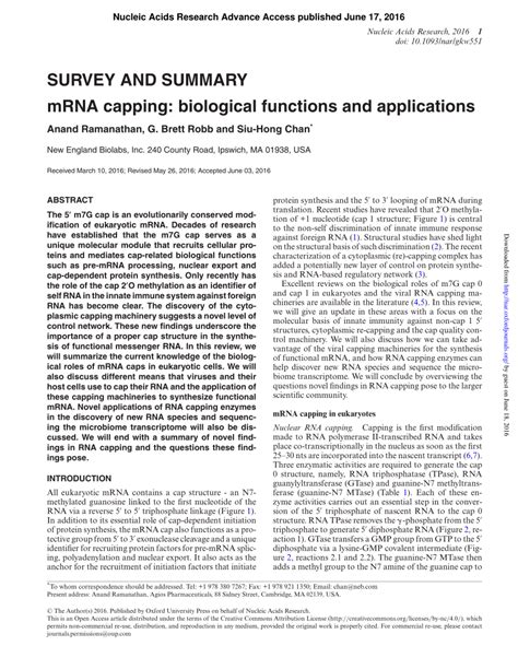 (PDF) mRNA capping: Biological functions and applications