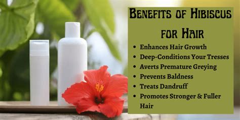 7 Benefits Of Hibiscus For Hair Growth And How To Use