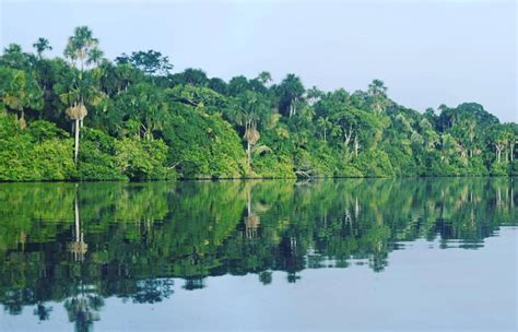 Destination Of Puerto Maldonado Green House Tambopata