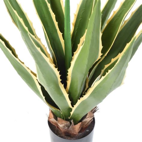 Agave Artificielle Furcraea