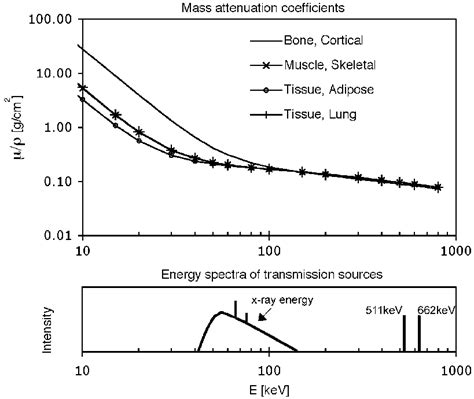 Total Mass Attenuation Coefficients For Several Biologic Materials Download Scientific Diagram