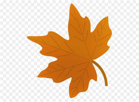 Fall Leaves Drawing Png