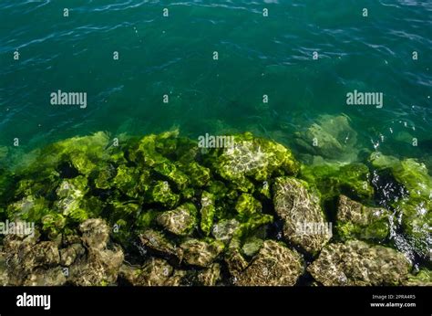 rock lake bottom  res stock photography  images alamy