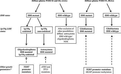 Mass Spectrometry Based Assay For The Molecular Diagnosis Of Glioma