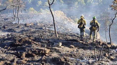 Efectivos Del Plan Infomur Extinguen Un Conato De Incendio Forestal En