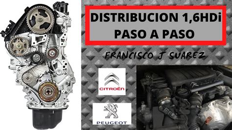 Como Cambiar Correa De Distribucion Citroen Xsara Picasso Bajar Cuota