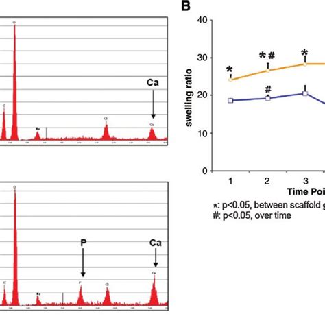 Acellular Scaffold Characterization A Hydrogel Scaffolds Were Download Scientific Diagram