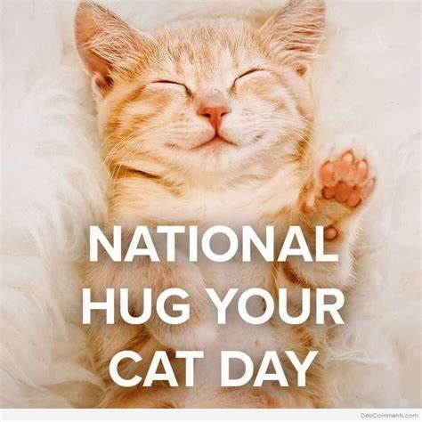 Hug Your Cat Day 2024 Letty Olympie