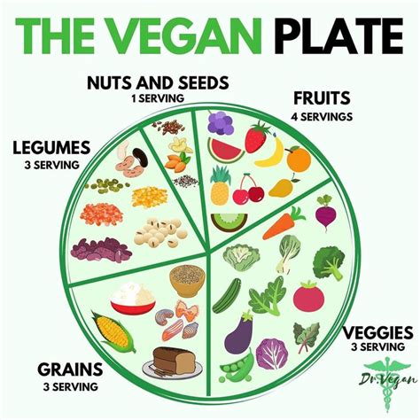 Dr Vegan On Instagram Not Sure How To Build A Vegan Plate Heres