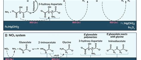 Pnas 生命起源新发现 Book学术