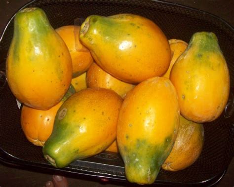 Polynesian Produce Stand : GMO ~RAINBOW PAPAYA~ Ring Spot Virus Disease ...