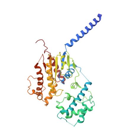 Rcsb Pdb Ggf Cryoem Structure Of Beta Adrenergic Receptor In