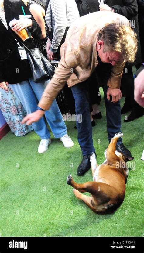 Los Angeles California Usa 9th May 2019 Actor Dennis Quaid And His