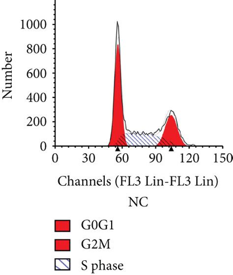 Changes In Cell Cycle Distribution In Hct And Sw Cells After